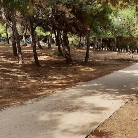 Case de vacanță Olive Garden Steps To 2 Kato Daratso